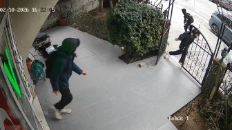 Avcılar'da 3 çocuk veterinere torpil attı! Hayvanlar panikle kaçıştı