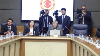Dr. Saliha Merve Kaya: Suça sürüklenen çocukların ebeveynlerine dava açılabilir