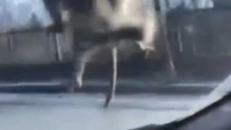 Başakşehir'de yolda ilerleyen araca fare atladı; sürücü polis çevirmesine girince kaçtı
