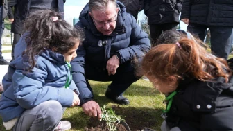 Sarıyer fidan dikti
