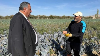 Elektrik zammı çiftçiyi çarptı