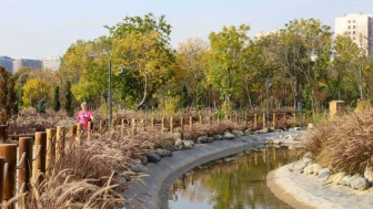 Ayamama Eurocities Awards 2026'da İlk 5'te