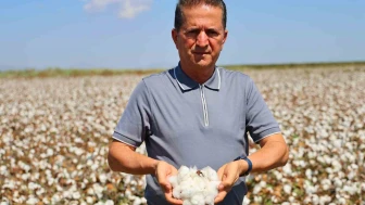 Pamukta tehlike çanları çalıyor