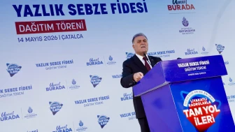 Çatalca'da çiftçilerin yüzü gülüyor