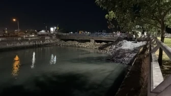 Bakırköy'de ölü balıklar korkuttu