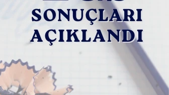 LGS kapsamındaki merkezi sınav sonuçları açıklandı