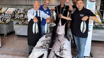 Balıkçı Kenan'da dev kılıç balığı var