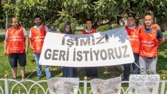 Ağaç AŞ işçileri kazandı