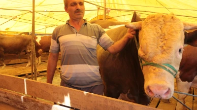 3 milyon 350 bin kurban kesilecek