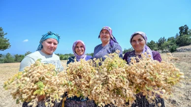 Mersin Büyükşehir İle Atalık Tohumlar Geleceğe Taşınıyor