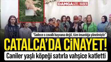 Bu resmen cinayet! Çatalca'da bir köpeği satırla katlettiler!