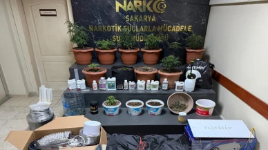 Kurdukları serada Hint keneviri yetiştiren 2 şüpheli gözaltına alındı