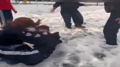 Parkta, kendilerinden küçük kızları darbettiler: 4 çocuk hakkında işlem yapıldı