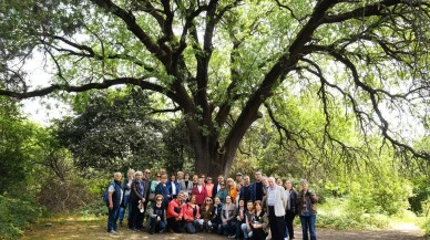 Cennetten bir parça gibi