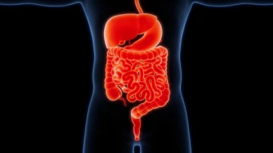 Hastalıklar bağırsaklarda başlıyor