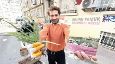 Bitki adam İstanbul sokaklarında