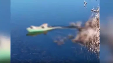 Yasa dışı avcılık yapan 11 kişiye idari işlem