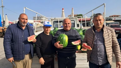 Erkenci karpuz satışa çıktı