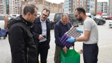 Kart B ile dönüşüm  çok kolay