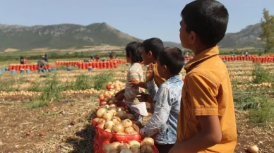 852 çocuk çalışırken öldü!