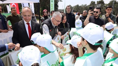 İstanbul'da ormanlar temizlendi