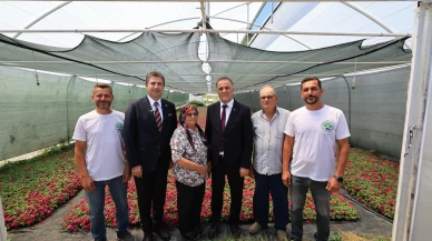 Milletin vergisini millete harcıyoruz