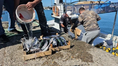 Zonguldak’ta balıkçılar 50 ton balıkla döndü