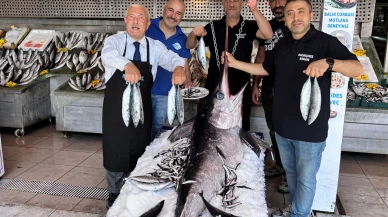Balıkçı Kenan'da dev kılıç balığı var