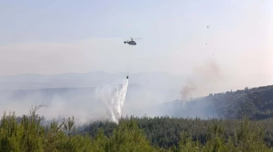 Çanakkale'deki orman yangınında 8 hektar alan zarar gördü