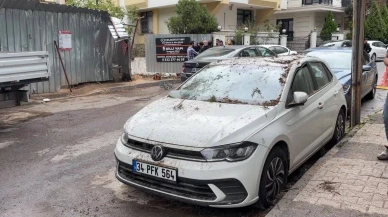 Maltepe’de kesilen ağaç 2 otomobilin üzerine devrildi