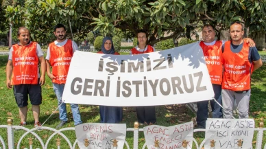 Ağaç AŞ işçileri kazandı