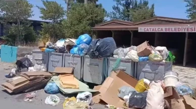 Çöp gibi sorun sinek gibi derdimiz var!