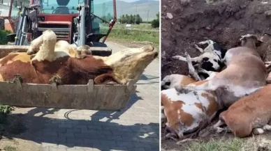 Enerji ve sağlığın kesiştiği nokta