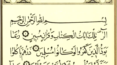 “Biz diriltiriz ve biz öldürürüz” (2)