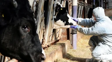 Türkiye’nin sessiz çığlığı: Biyogaz ve Şap Hastalığı