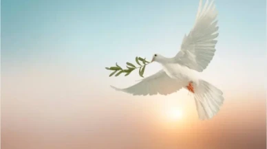 1 Eylül Dünya Barış Günü: Ya barış ya barbarlık