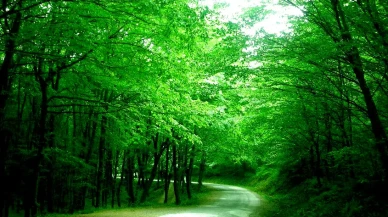 İstanbul'un son nefes alan ilçeleri