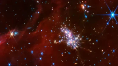 Yolculuğun son vagonu