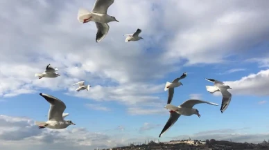 Bayramda İstanbul