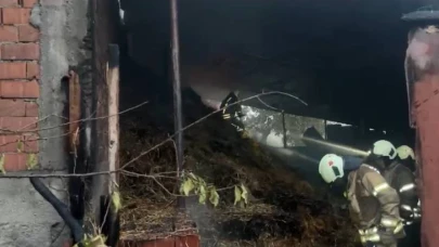 Çatalca'da hayvanlar telef oldu!