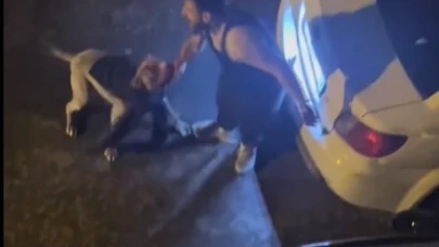 Bahçelievler'de korkunç Pitbull saldırısı!