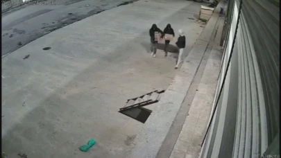 Kafalarına poşet geçirip kuş çaldılar