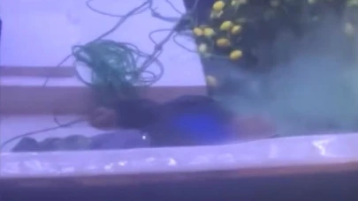 İstanbul Boğazı'nda bir adam denize düştü!