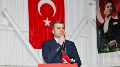 Silivri'de ki ağaç katliamına yargı hamlesi!