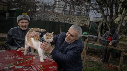 Kediler için huzurevi!