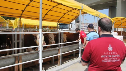 İBB'nin kurban denetimleri başladı