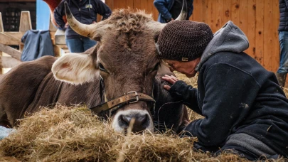 Beyaz perdede hayvanlar var