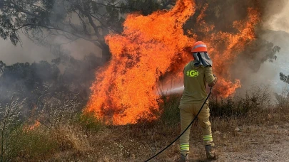 Orman işçisi sahipsizdir!