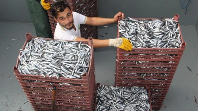 Karadeniz Bölgesi'nden 6 ayda su ürünleri ihracatı 167 milyon doları aştı