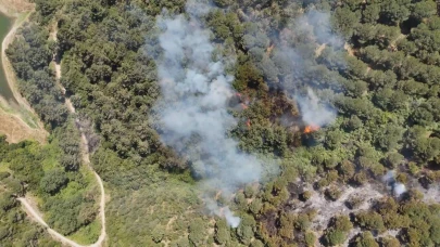 Orman yangınına 12 dakikada müdahale ettiler